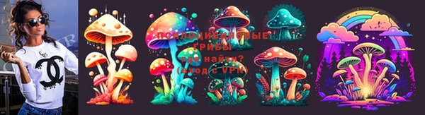 ECSTASY Медвежьегорск