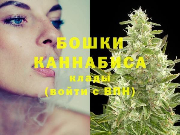ECSTASY Медвежьегорск
