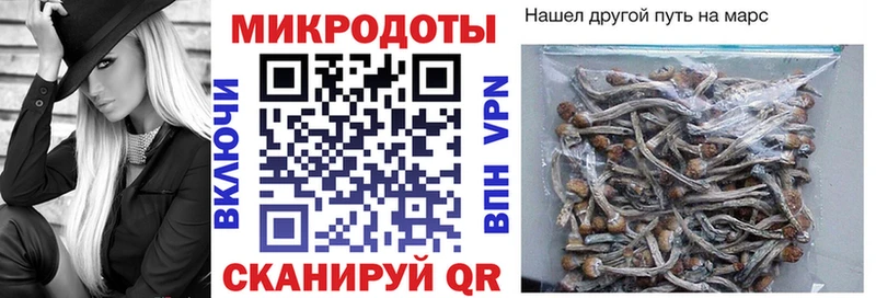 Псилоцибиновые грибы мухоморы  купить  цена  Смоленск 